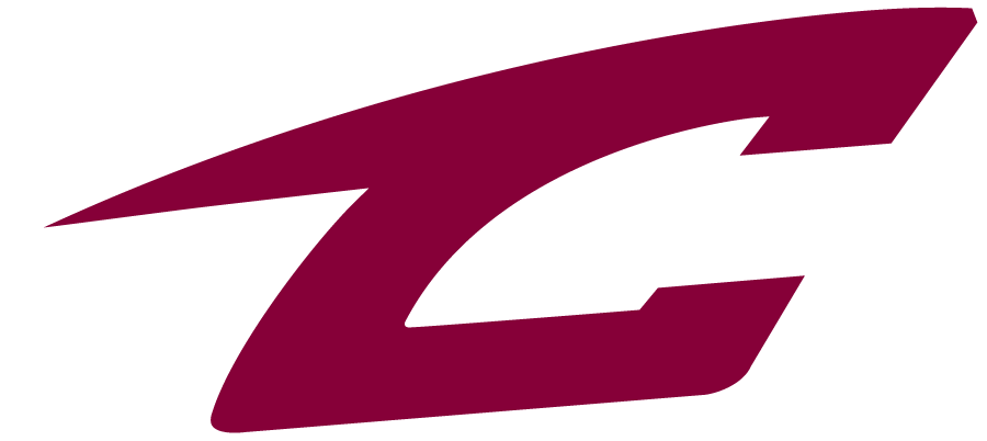 Canton Charge 2010-Pres Alternate Logo v2 iron on transfers for clothing